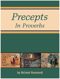 Precepts in Proverbs - 26 Topical Lessons from the Book of Proverbs (Reproducible CD Included)